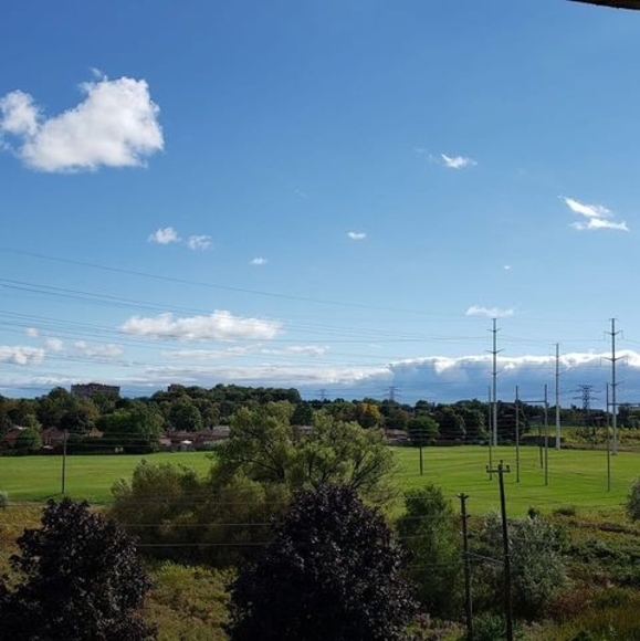 Meet your Posher, Rizwanul - Picture 1 of 1